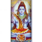 Amohadilla para ojos Shiva